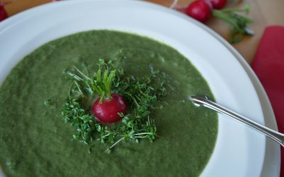 Grüne Radieschen-Suppe